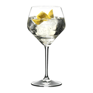 bicchiere gin